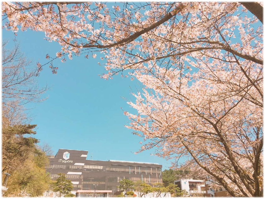 韓國白石大學(xué)2